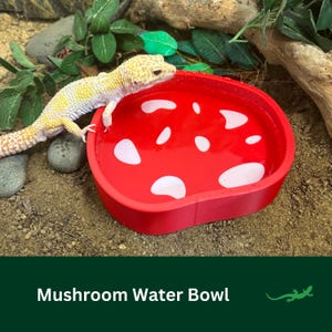 Mushroom HOT TUB, Reptile Water Bowl, Bearded Dragon Bathing Spot, Soaking Pool Dish for Gecko or beardies, Perfect Gift for Reptile Lover