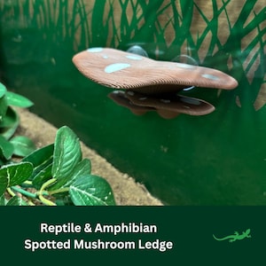 Spotted Mushroom Ledge Reptile platform, Vivarium Decor, Gift for Crested Gecko, Dart tree Frog, Jumping Spider, Basking Spot, SUCTION CUPS