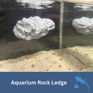 May include: A textured, gray aquarium rock ledge floats in a glass tank above a sandy substrate. The rock has a natural, layered appearance. The text "Aquarium Rock Ledge" is displayed on a blue background.