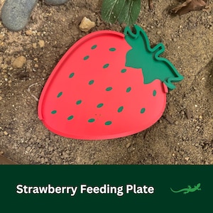 May include: A red strawberry-shaped feeding plate with green leaves. The plate is made of plastic and has a textured surface. It is ideal for feeding small animals.