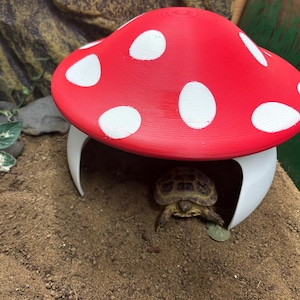Puede incluir: Una peque&ntilde;a tortuga se esconde debajo de un escondite de pl&aacute;stico en forma de hongo rojo y blanco. El escondite tiene una base blanca y una parte superior roja con lunares blancos.