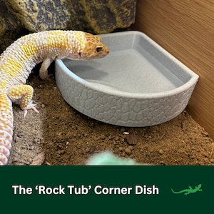 Könnte beinhalten: Eine hellgraue Eckschale mit strukturierter Oberfläche, die Stein nachempfunden ist. Ein gelb-oranger Leopardgecko befindet sich in der Nähe der Schale. Der Text "The 'Rock Tub' Corner Dish" befindet sich am unteren Bildrand.