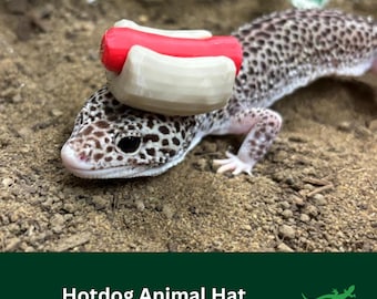 Hotdog Hat for Small Pet, Critter Accessory, Funny Gift for reptile lover, amphibian, bearded dragon, frog, gecko, Hamster, Guinea pig, rat