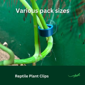 May include: Green plant stem secured to a green background with a blue plastic clip. The text "Various pack sizes" is at the top of the image. The text "Reptile Plant Clips" is at the bottom of the image.