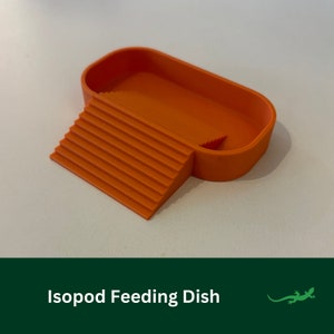 Oval Isopod Food Bowl, Woodlice Feeding Dish, Vivarium Accessory Decor, Gift for Reptile Lover, Snail, Cleaner Crew Feeder Insect