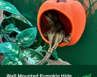 PUMPKIN Wall Mounted Reptile Hide, Whimsical Vivarium Accessory Gift for Pet enclosure, Tarantula, Lizard, Jumping Spider, Gecko