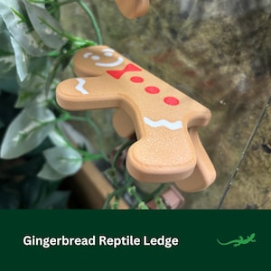 GINGERBREAD Ledge Reptile platform, Vivarium Decor, Crested Gecko Gift, Dart tree Frog, Jumping Spider, Climbing Basking Spot, SUCTION CUPS