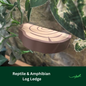 LOG LEDGE Reptile platform, Vivarium Decor, Gift for Crested Gecko, White's tree Frog, Spider, Climbing Basking Spot, SUCTION Cups