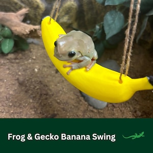 Peut inclure: Une grenouille vert clair est assise sur une balançoire banane jaune vif suspendue par de la ficelle. La balançoire banane est un accessoire amusant pour un reptile de compagnie. Le texte "Frog & Gecko Banana Swing" est en bas de l'image.