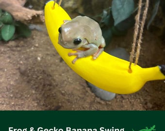 BANANA GECKO or FROG Swing, Swinging ledge platform, Crested Gecko Vivarium Decor, Dart tree Frog, Spider, Reptile Gift, Climbing Spot