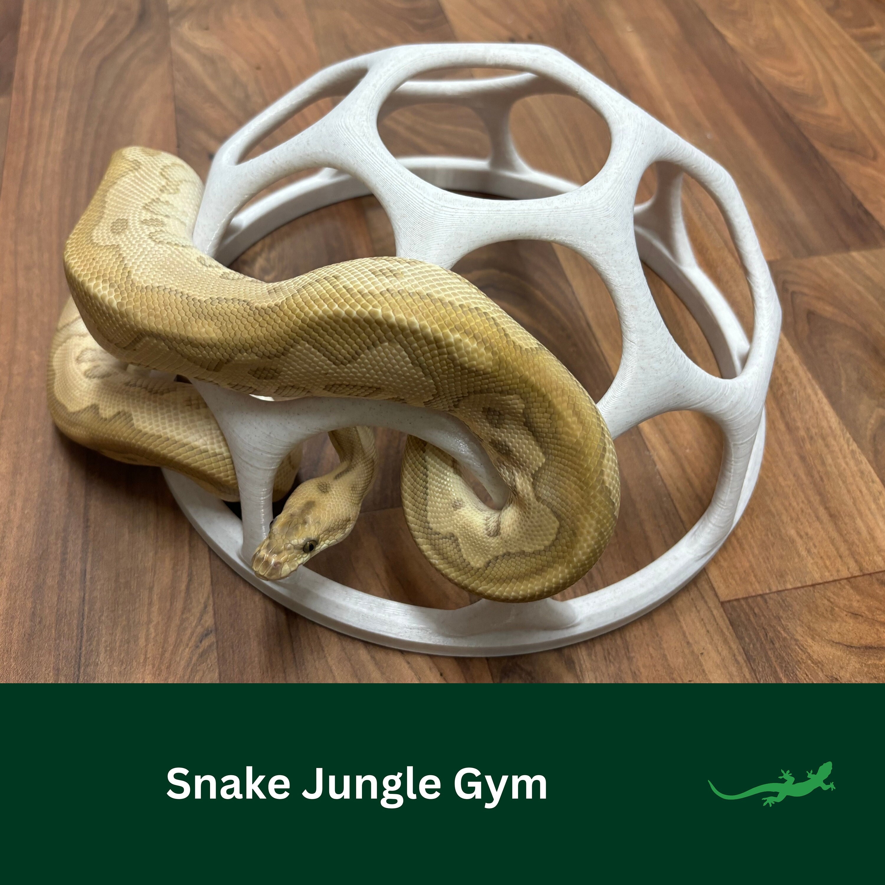 Chaîne D'Escalade Pour Serpents - Anneaux En PP, Corde Lin, Accessoire Terrarium Enrichissement - 3