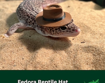 Fedora Hat for Small Pet, Critter Accessory, Funny Gift for reptile lover, amphibian, bearded dragon, frog, gecko, Hamster, Guinea pig, rat
