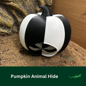 Pumpkin Reptile Hide, BLACK & WHITE Autumn Vivarium Pet enclosure Accessory, Tarantula, Lizard, Jumping Spider, Gecko, Reptile lover Gift