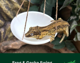 GECKO or FROG Swing, Swinging ledge platform, Vivarium Decor, Crested Gecko, Dart tree Frog, Jumping Spider, Reptile Gift, Climbing Spot