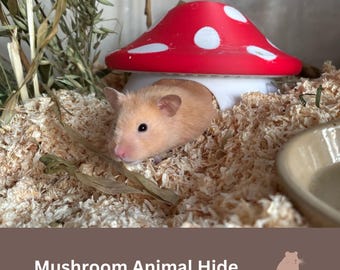 Mushroom Hamster Hide, Cute Pet Cave for Mice, Syrian Hamster, Rat, Guinea Pig, Small Animal Enclosure Decor, Gift for Pet Lovers