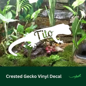May include: White vinyl decal of a crested gecko with the name "Tito" in script. The gecko is set against a background of greenery, moss, and a small waterfall. The text "Crested Gecko Vinyl Decal" is at the bottom.