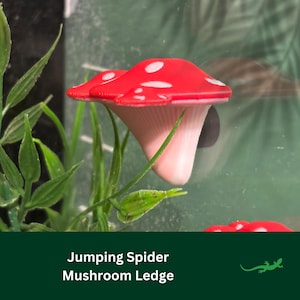 JUMPING SPIDER Pilz Ledge Plattform, MAGNETIC Vivarium Decor, Spinne Ruheplatz, Spinnentier Zubehör, Micro Gecko, Spood Liebhaber Geschenk