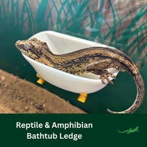 May include: A white bathtub ledge with yellow feet, designed for reptiles and amphibians. A brown and black gecko is resting in the ledge.