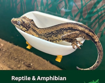 BATHTUB Frog Ledge Reptile platform, Vivarium Decor, Crested Gecko Gift, Dart tree Frog, Jumping Spider, Climbing Basking Spot, SUCTION CUPS