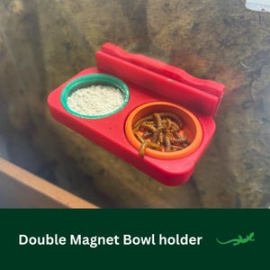MAGNETIC DOUBLE Crested Gecko Feeding Ledge, Wall mounted reptile dish, Gecko Diet Platform, Vivarium Decor, Gift for Reptile Lover