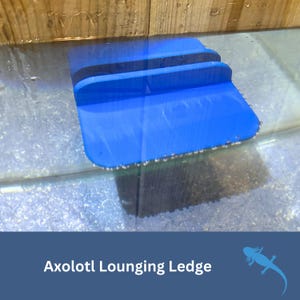 May include: A blue Axolotl Lounging Ledge is shown in an aquarium. The ledge is a rectangular shape with rounded edges and a textured surface. The text "Axolotl Lounging Ledge" is displayed at the bottom of the image.