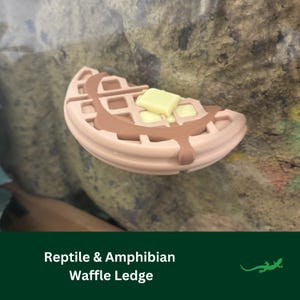 MAGNETIC WAFFLE LEDGE Reptile platform, Vivarium Decor, Crested Gecko, White's tree Frog, Gift for Screen, Mesh enclosure, Crested Gecko