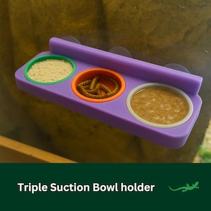 TRIPLE Crested Gecko Feeding Ledge, Wall mounted reptile dish, Gecko Diet Suction Cup / Magnet Platform, Vivarium Decor, Reptile Lover Gift