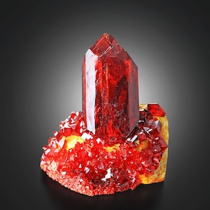 May include: A vibrant red crystal formation with a large, central, faceted crystal and smaller crystals at the base. The crystals are a deep, translucent red, set against a yellow-tan base. The background is a gradient of dark gray to black.