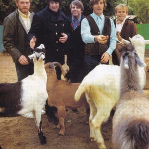 Könnte beinhalten: Ein Vintage-Foto von The Beach Boys mit Ziegen. Die Bandmitglieder tragen Kleidung aus den 1960er Jahren. Der Text im Bild lautet: 'IT MARKED A GIANT LEAP FORWARD FOR POP.'