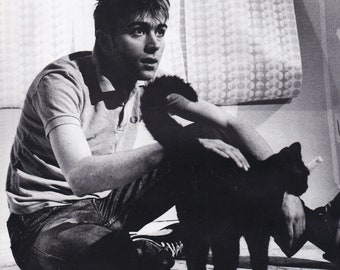 Original Vintage Mini Poster / Magazine Clipping - Blur's Damon Albarn With His Cat