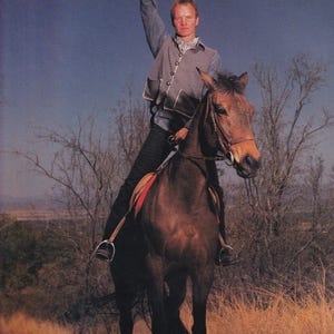 Original Vintage Mini Poster / Magazine Clipping - Sting, South Africa, 1994