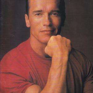 Original Vintage Mini Poster / Zeitschriftenausschnitt - Arnold Schwarzenegger (1993)