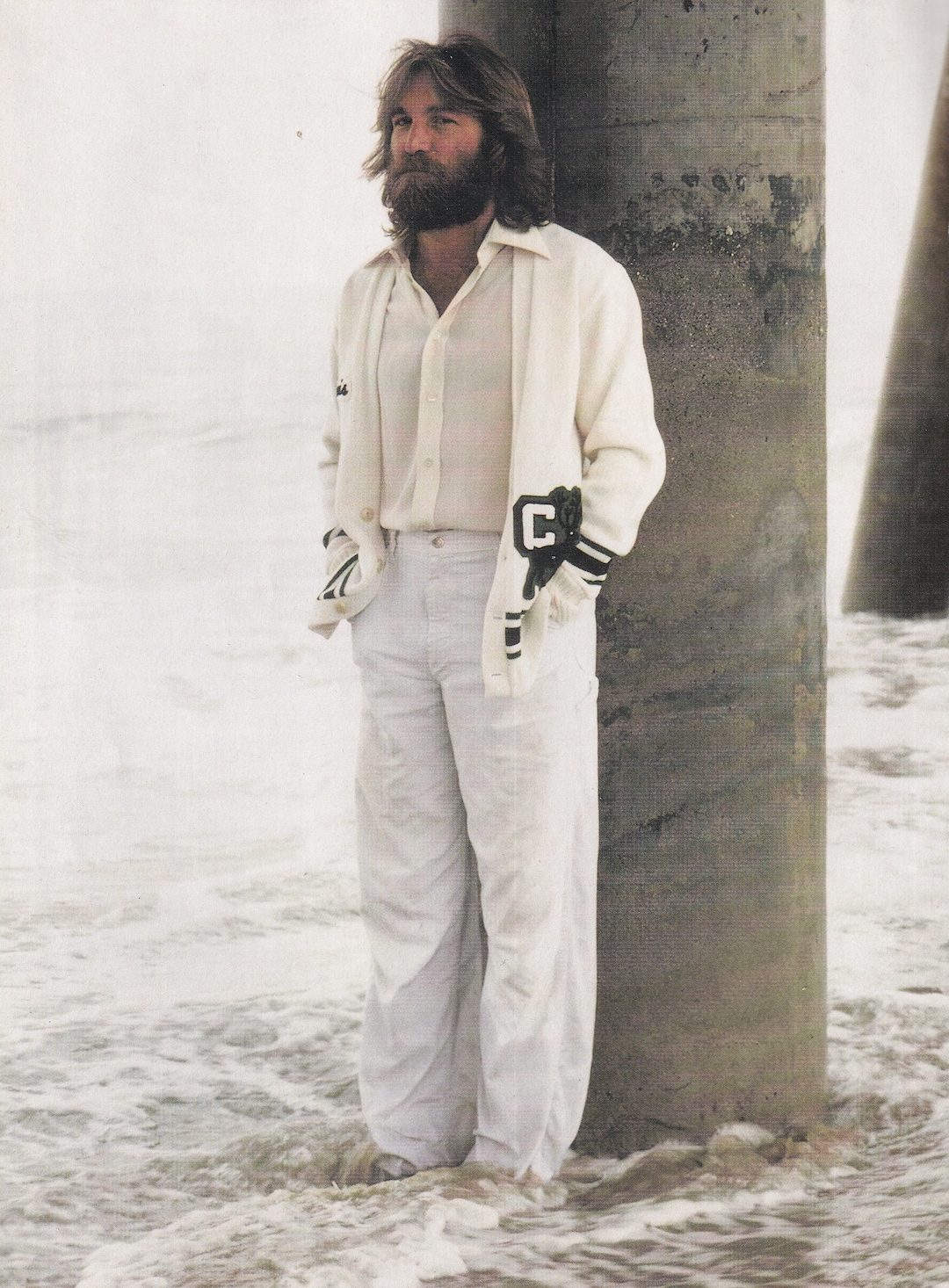 original-vintage-mini-poster-magazine-clipping-dennis-wilson-1970s-etsy