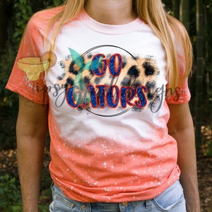 GO GATORS (Blue Glitter) - PNG Digital Download