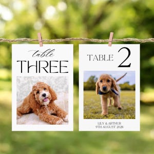 Custom Pet Photo Table Names, Animal Wedding Table Number, Custom Photo Table Numbers, Table Name Cards, Personalised Dog Photo Table Number