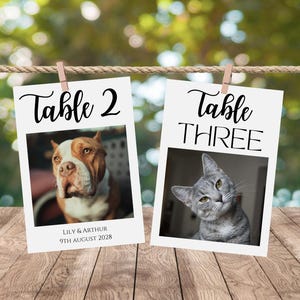 Noms de table personnalisés avec photo d'animal de compagnie, numéro de table de mariage d'animaux, numéros de table avec photo personnalisés, cartes de visite, numéro de table personnalisé avec photo de chien