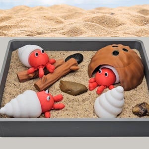 Hermit Crab Zen Garden Miniature Desk Decor | Stress Relief Office Accessory Gift