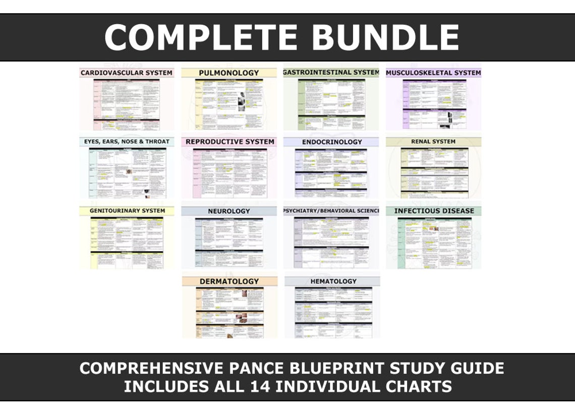 Comprehensive PANCE Study Guide Bundle / Blueprint / Chart / Physician Assistant / Nurse