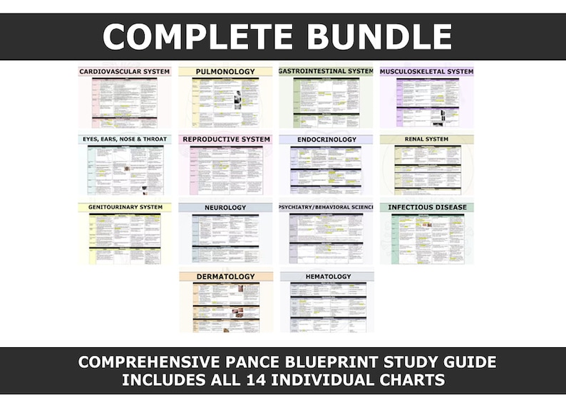 Comprehensive PANCE Study Guide Bundle / Blueprint / Chart / Physician