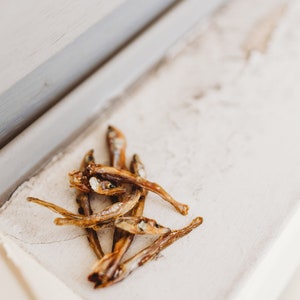 Dehydrated Smelt