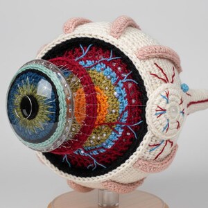 May include: A crocheted anatomical eye model, showcasing detailed layers in vibrant colors. The eye features a clear, rounded lens and is mounted on a wooden base. The model is a unique piece of art.