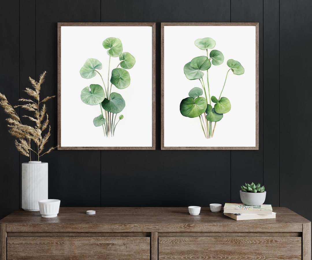 Pilea Peperomioides Plant Prints, Set of 3 | Botanical Wall Art Decor ...