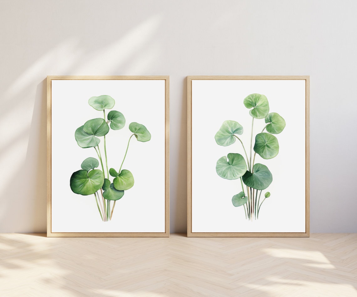 Pilea Peperomioides Plant Prints, Set of 3 | Botanical Wall Art Decor ...