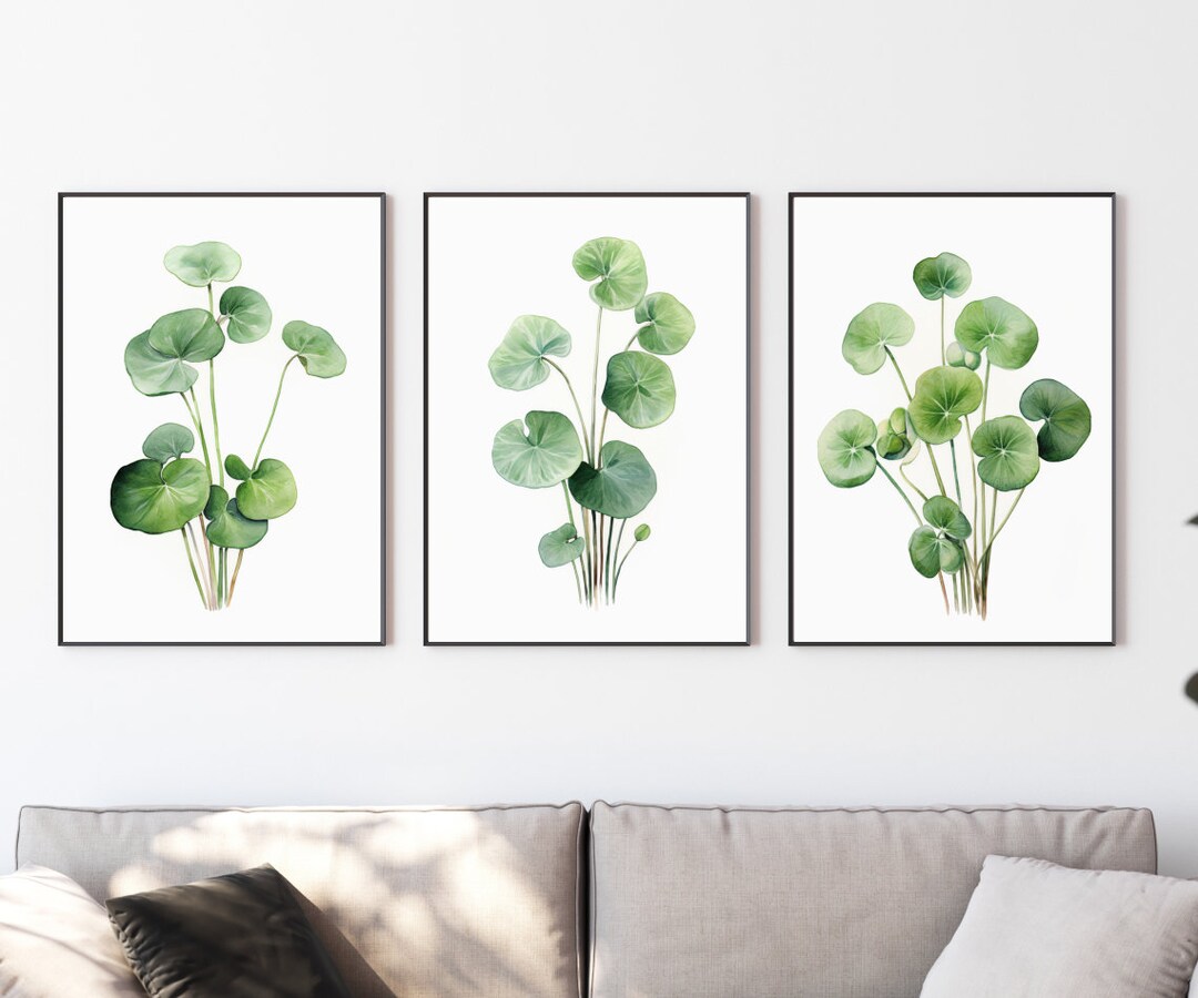 Pilea Peperomioides Plant Prints, Set of 3 | Botanical Wall Art Decor ...