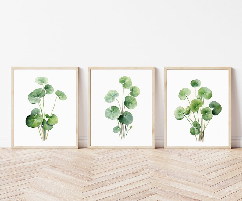 Pilea Peperomioides Plant Prints, Set of 3 | Botanical Wall Art Decor ...