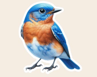 May include: A sticker featuring a bluebird with a bright blue head, wings, and tail, a rusty orange chest, and a white belly. The bird has a dark eye, a pointed black beak, and black feet, all outlined with a white border on a light background.