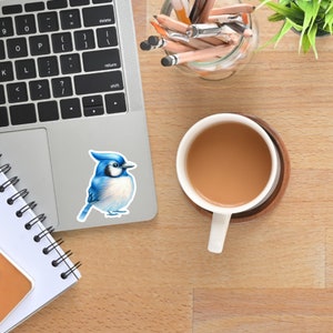 Chubby Blue Jay Sticker, Blue Jay Vinyl Sticker - Backyard Birds Collection - Cute Bird Decal for Nature Enthusiasts