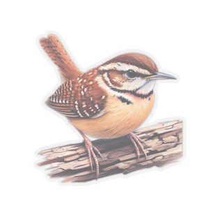 Carolina Wren profile vinyl sticker displayed with a transparent border. The sticker is centered against a plain background.