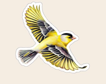Puede incluir: Una ilustración adhesiva de un jilguero en vuelo, con plumaje amarillo brillante en el cuerpo y las alas con barras alares negras y blancas en contraste, una mancha negra en la cabeza y un pico pequeño y puntiagudo de color naranja rosado.