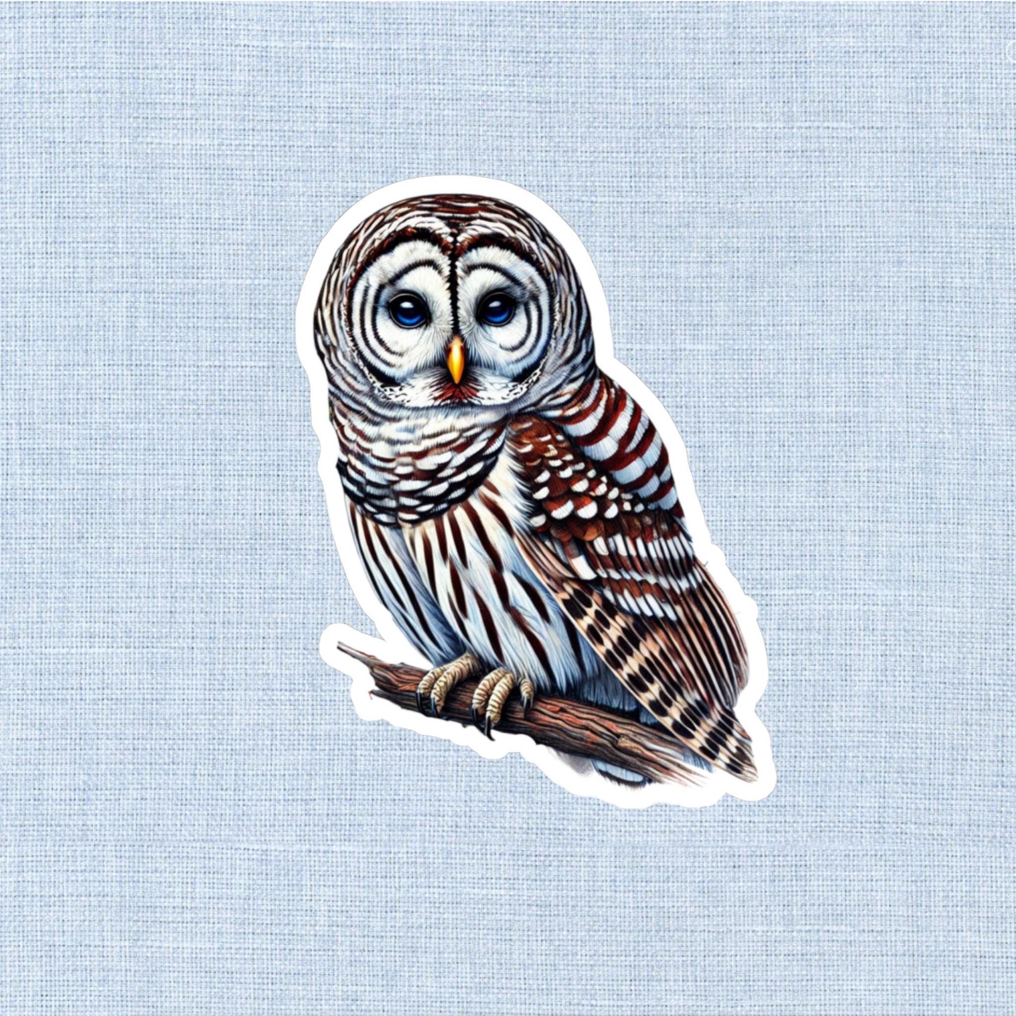 Barred Owl Sticker: Vinyl Bird Decal